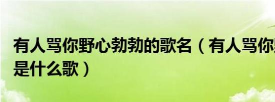 有人骂你野心勃勃的歌名（有人骂你野心勃勃是什么歌）