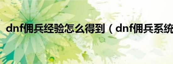 dnf佣兵经验怎么得到（dnf佣兵系统奖励）