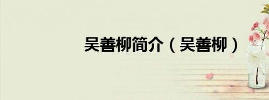 吴善柳简介（吴善柳）