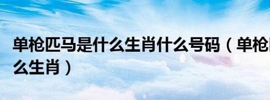 单枪匹马是什么生肖什么号码（单枪匹马是什么生肖）