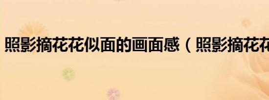 照影摘花花似面的画面感（照影摘花花似面）