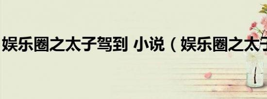 娱乐圈之太子驾到 小说（娱乐圈之太子驾到）
