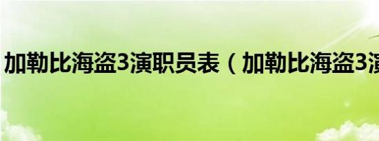 加勒比海盗3演职员表（加勒比海盗3演员表）