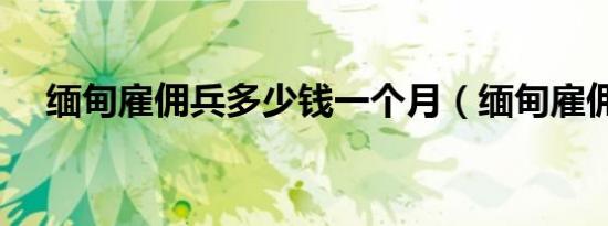 缅甸雇佣兵多少钱一个月（缅甸雇佣兵）