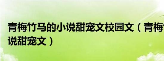 青梅竹马的小说甜宠文校园文（青梅竹马的小说甜宠文）