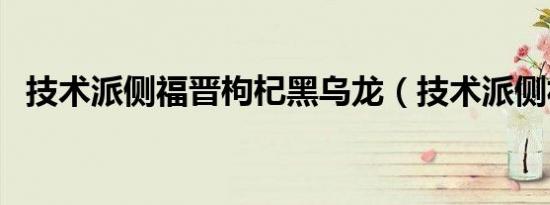 技术派侧福晋枸杞黑乌龙（技术派侧福晋）