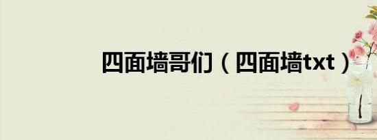 四面墙哥们（四面墙txt）