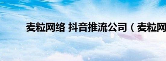 麦粒网络 抖音推流公司（麦粒网）