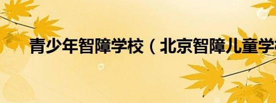 青少年智障学校（北京智障儿童学校）