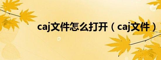 caj文件怎么打开（caj文件）