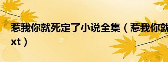 惹我你就死定了小说全集（惹我你就死定了txt）