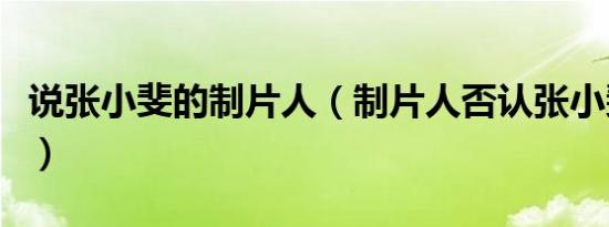 说张小斐的制片人（制片人否认张小斐耍大牌）
