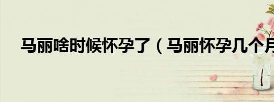 马丽啥时候怀孕了（马丽怀孕几个月了）
