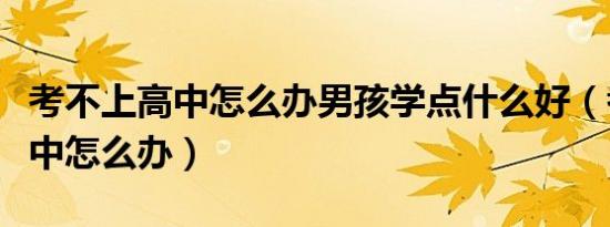 考不上高中怎么办男孩学点什么好（考不上高中怎么办）