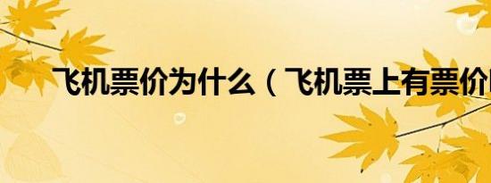 飞机票价为什么（飞机票上有票价吗）