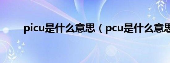 picu是什么意思（pcu是什么意思）