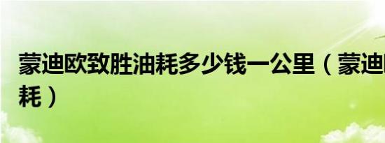 蒙迪欧致胜油耗多少钱一公里（蒙迪欧致胜油耗）