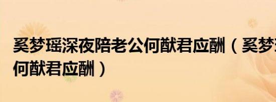 奚梦瑶深夜陪老公何猷君应酬（奚梦瑶深夜陪何猷君应酬）