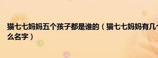 猫七七妈妈五个孩子都是谁的（猫七七妈妈有几个孩子叫什么名字）
