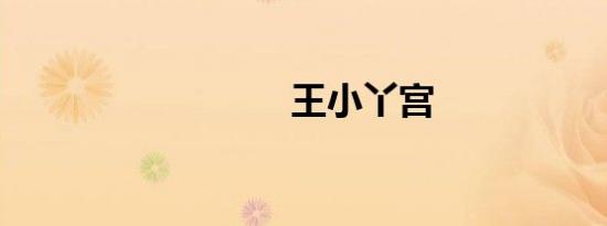 王小丫宫