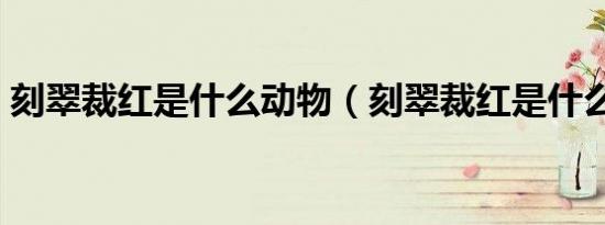 刻翠裁红是什么动物（刻翠裁红是什么意思）