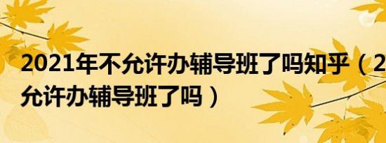 2021年不允许办辅导班了吗知乎（2021年不允许办辅导班了吗）