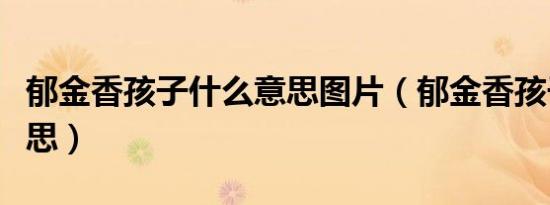 郁金香孩子什么意思图片（郁金香孩子什么意思）