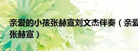 亲爱的小孩张赫宣刘文杰伴奏（亲爱的小孩 张赫宣）