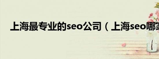 上海最专业的seo公司（上海seo哪家好）