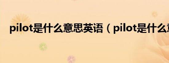 pilot是什么意思英语（pilot是什么意思）
