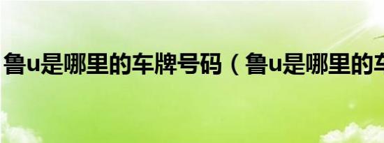 鲁u是哪里的车牌号码（鲁u是哪里的车牌号）