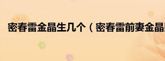 密春雷金晶生几个（密春雷前妻金晶照片）