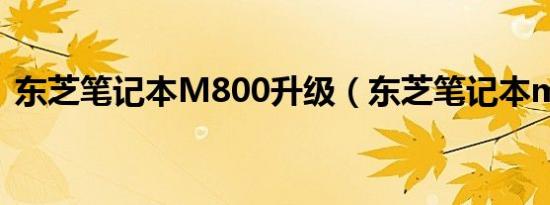 东芝笔记本M800升级（东芝笔记本m800）