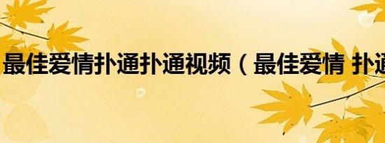 最佳爱情扑通扑通视频（最佳爱情 扑通扑通）