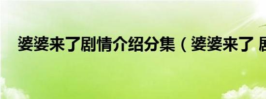 婆婆来了剧情介绍分集（婆婆来了 剧情）