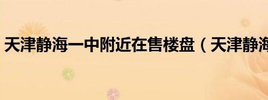 天津静海一中附近在售楼盘（天津静海一中）