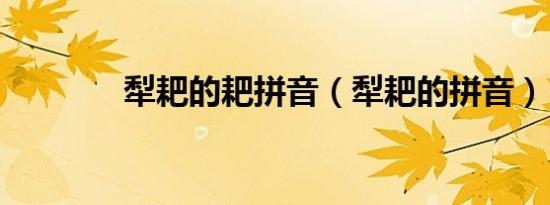 犁耙的耙拼音（犁耙的拼音）