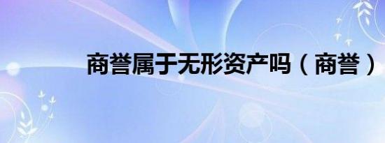 商誉属于无形资产吗（商誉）