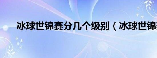 冰球世锦赛分几个级别（冰球世锦赛）