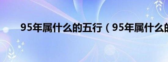 95年属什么的五行（95年属什么的）