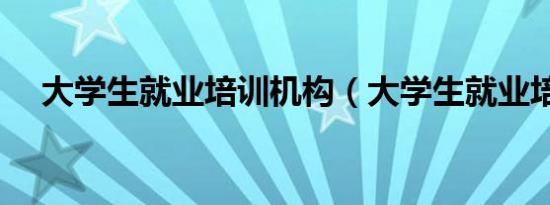 大学生就业培训机构（大学生就业培训）