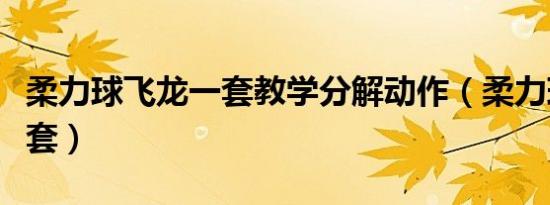 柔力球飞龙一套教学分解动作（柔力球飞龙一套）