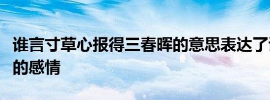 谁言寸草心报得三春晖的意思表达了诗人怎样的感情
