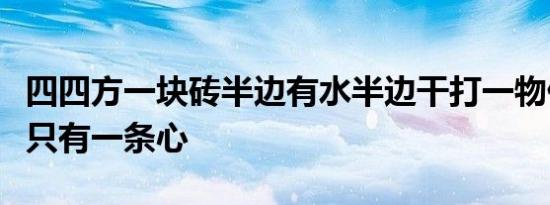 四四方一块砖半边有水半边干打一物什么东西只有一条心