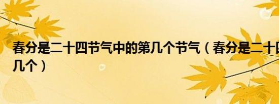 春分是二十四节气中的第几个节气（春分是二十四节气的第几个）