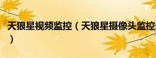 天狼星视频监控（天狼星摄像头监控录像专家）