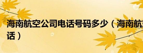 海南航空公司电话号码多少（海南航空公司电话）