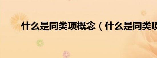 什么是同类项概念（什么是同类项）