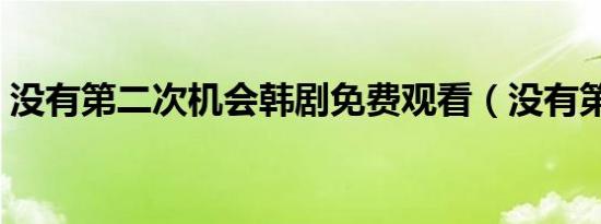 没有第二次机会韩剧免费观看（没有第二次）