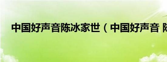 中国好声音陈冰家世（中国好声音 陈冰）